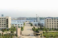 九洲国际,油茶莳植生产加工销售,植物油莳植生产加工销售