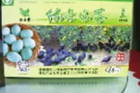 九洲国际,油茶莳植生产加工销售,植物油莳植生产加工销售