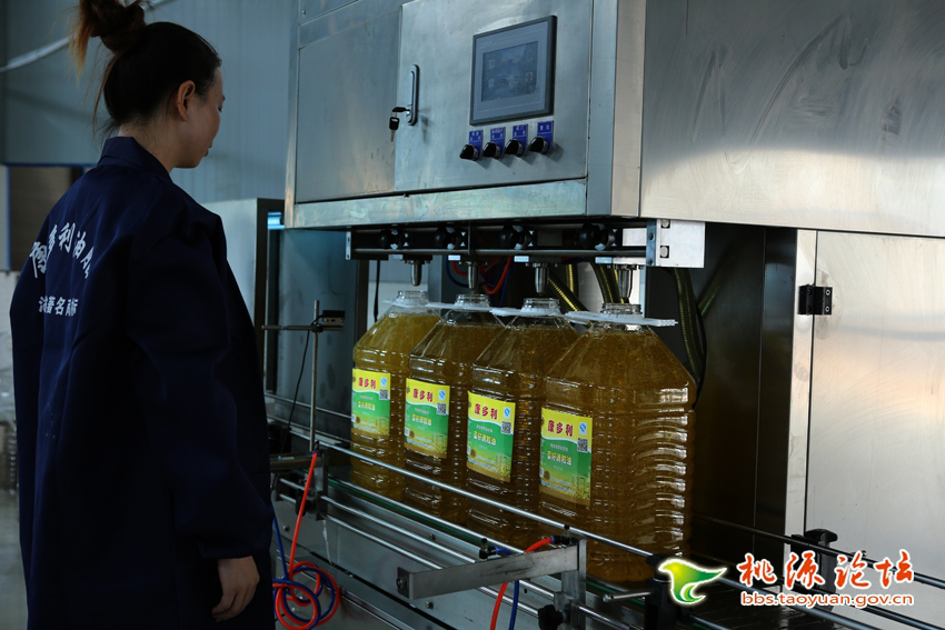 九洲国际,油茶莳植生产加工销售,植物油莳植生产加工销售