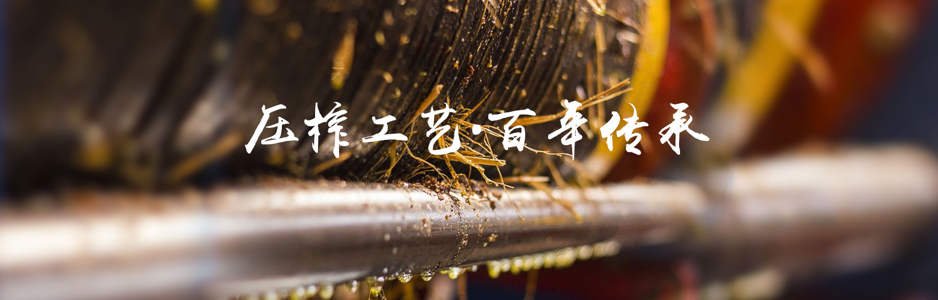 九洲国际_油茶莳植生产加工销售|植物油莳植生产加工销售