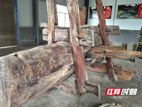 九洲国际,油茶莳植生产加工销售,植物油莳植生产加工销售