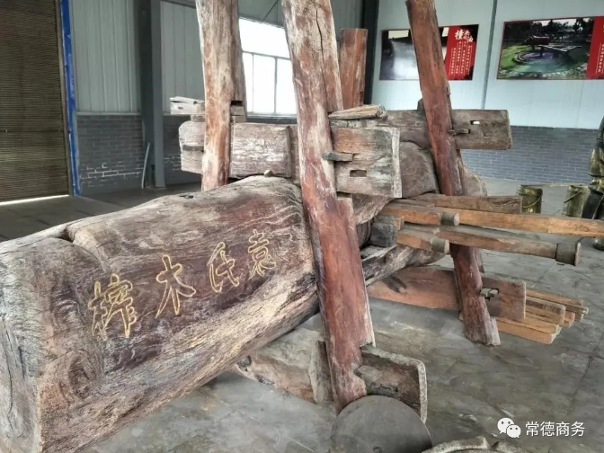 九洲国际,油茶莳植生产加工销售,植物油莳植生产加工销售